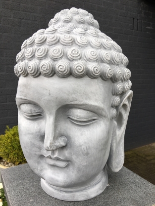 Buddha head, polystein-concrete color!!